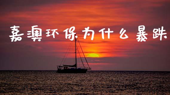 嘉澳环保为什么暴跌_https://cj007.lansai.wang_债券资讯_第1张
