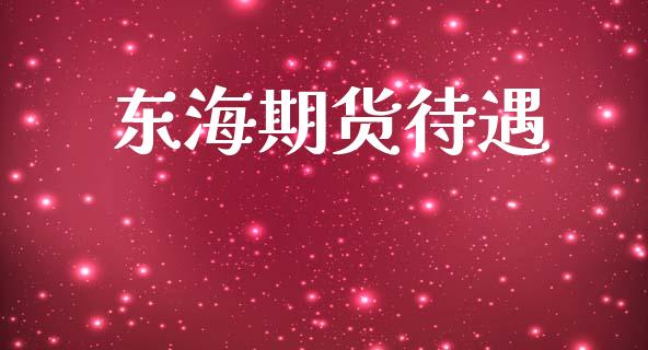 东海期货待遇_https://cj007.lansai.wang_债券资讯_第1张
