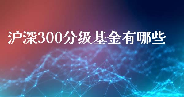 沪深300分级基金有哪些_https://cj007.lansai.wang_期货开户_第1张