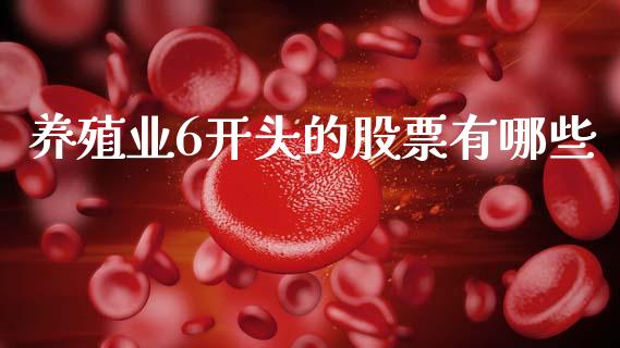 养殖业6开头的股票有哪些_https://cj007.lansai.wang_财经新闻_第1张