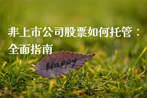 非上市公司股票如何托管：全面指南_https://cj007.lansai.wang_债券资讯_第1张