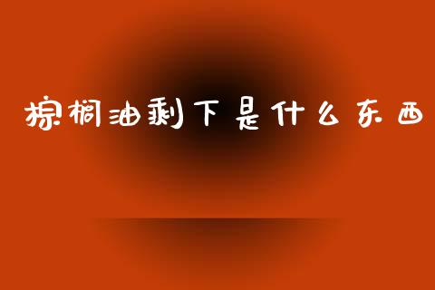 棕榈油剩下是什么东西_https://cj007.lansai.wang_全球市场_第1张