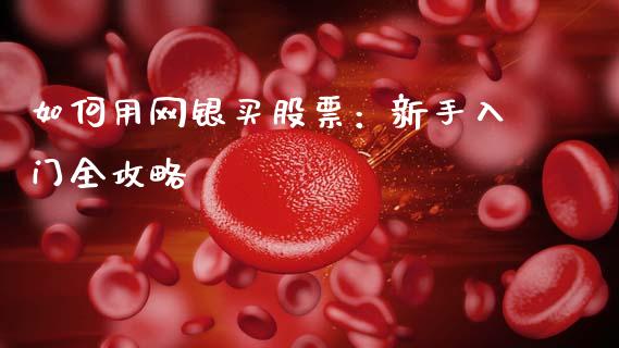 如何用网银买股票：新手入门全攻略_https://cj007.lansai.wang_债券资讯_第1张