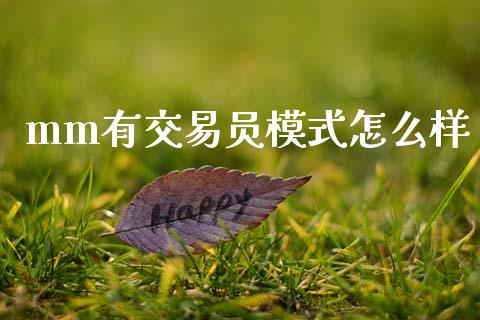 mm有交易员模式怎么样_https://cj007.lansai.wang_金融监管_第1张