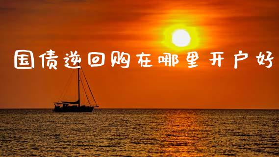 国债逆回购在哪里开户好_https://cj007.lansai.wang_外汇交易_第1张