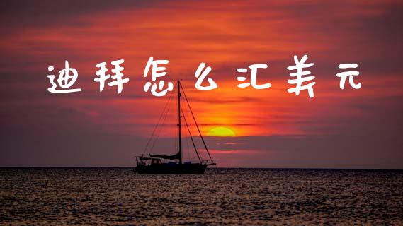 迪拜怎么汇美元_https://cj007.lansai.wang_金融监管_第1张