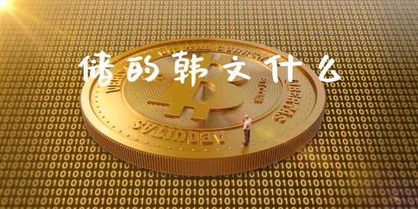 储的韩文什么_https://cj007.lansai.wang_全球市场_第1张