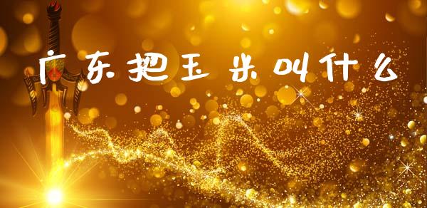 广东把玉米叫什么_https://cj007.lansai.wang_债券资讯_第1张