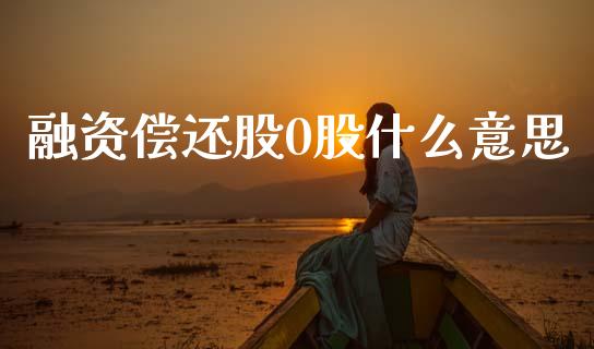 融资偿还股0股什么意思_https://cj007.lansai.wang_财经新闻_第1张