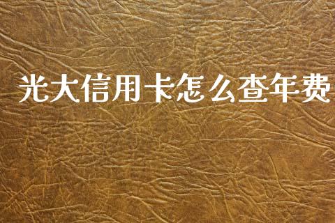 光大信用卡怎么查年费_https://cj007.lansai.wang_外汇交易_第1张