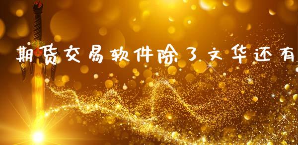 期货交易软件除了文华还有_https://cj007.lansai.wang_财经新闻_第1张