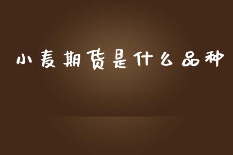 小麦期货是什么品种_https://cj007.lansai.wang_财经新闻_第1张
