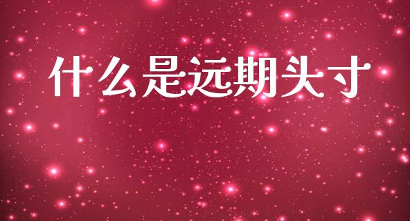 什么是远期头寸_https://cj007.lansai.wang_外汇交易_第1张