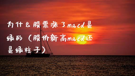 为什么股票涨了macd是绿的（股价新高macd还是绿柱子）_https://cj007.lansai.wang_债券资讯_第1张