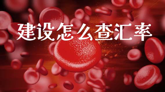 建设怎么查汇率_https://cj007.lansai.wang_债券资讯_第1张