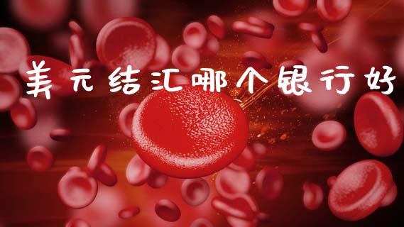 美元结汇哪个银行好_https://cj007.lansai.wang_财经新闻_第1张