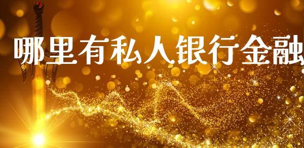哪里有私人银行金融_https://cj007.lansai.wang_债券资讯_第1张