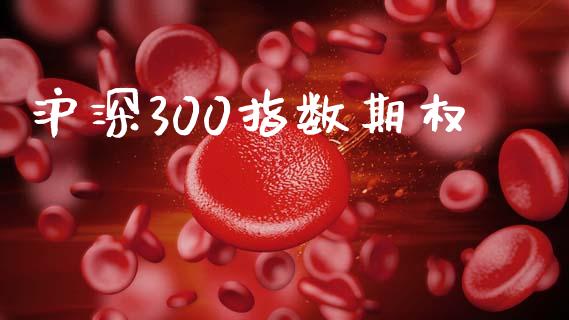 沪深300指数期权_https://cj007.lansai.wang_期货开户_第1张