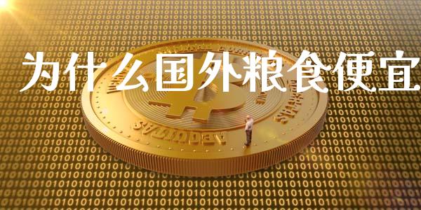 为什么国外粮食便宜_https://cj007.lansai.wang_全球市场_第1张
