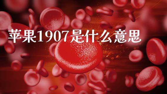 苹果1907是什么意思_https://cj007.lansai.wang_期货开户_第1张