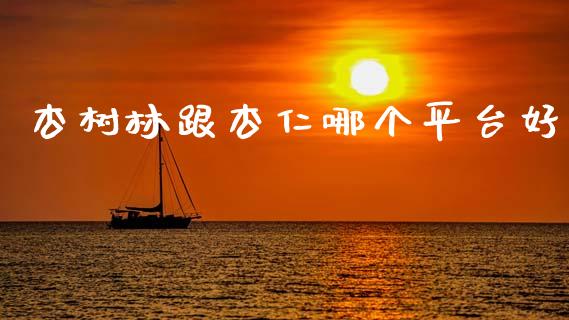 杏树林跟杏仁哪个平台好_https://cj007.lansai.wang_期货开户_第1张