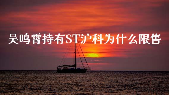 吴鸣霄持有ST沪科为什么限售_https://cj007.lansai.wang_财经新闻_第1张