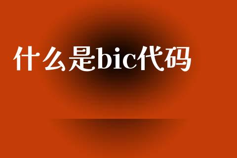 什么是bic代码_https://cj007.lansai.wang_财经新闻_第1张