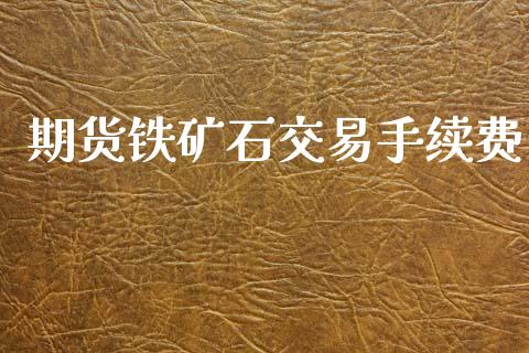 期货铁矿石交易手续费_https://cj007.lansai.wang_金融监管_第1张