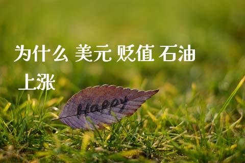 为什么 美元 贬值 石油 上涨_https://cj007.lansai.wang_金融监管_第1张
