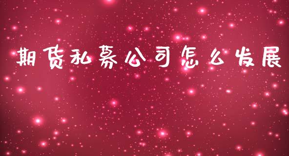期货私募公司怎么发展_https://cj007.lansai.wang_期货开户_第1张