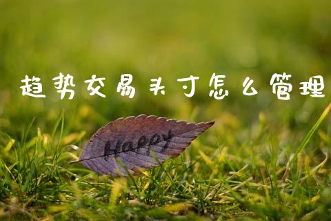 趋势交易头寸怎么管理_https://cj007.lansai.wang_财经新闻_第1张