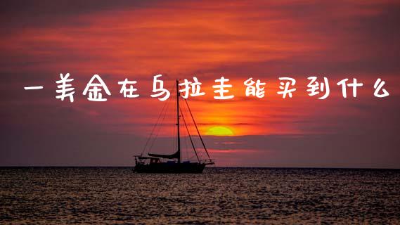 一美金在乌拉圭能买到什么_https://cj007.lansai.wang_金融监管_第1张