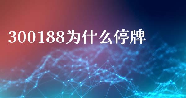 300188为什么停牌_https://cj007.lansai.wang_财经新闻_第1张