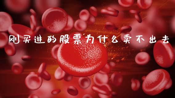 刚买进的股票为什么卖不出去_https://cj007.lansai.wang_金融监管_第1张