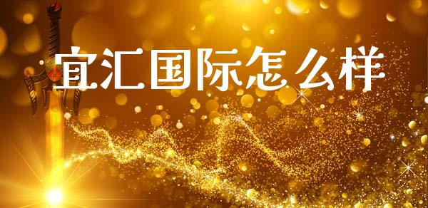 宜汇国际怎么样_https://cj007.lansai.wang_金融监管_第1张