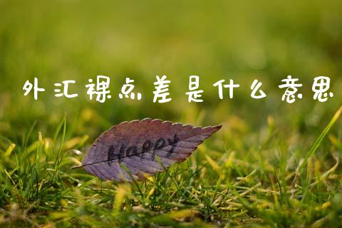 外汇裸点差是什么意思_https://cj007.lansai.wang_金融监管_第1张