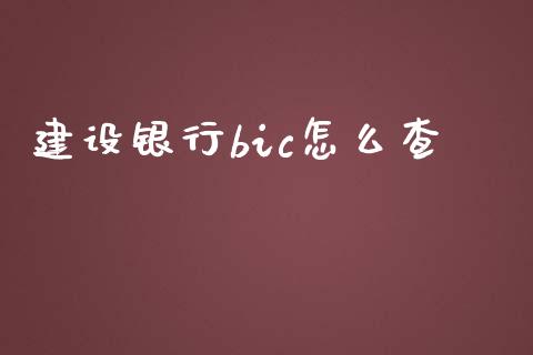 建设银行bic怎么查_https://cj007.lansai.wang_全球市场_第1张