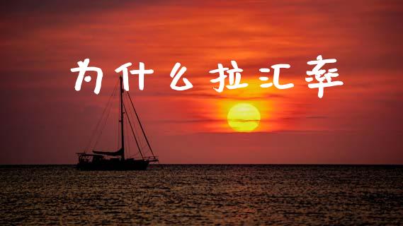 为什么拉汇率_https://cj007.lansai.wang_期货开户_第1张