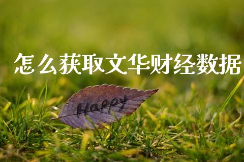 怎么获取文华财经数据_https://cj007.lansai.wang_金融监管_第1张