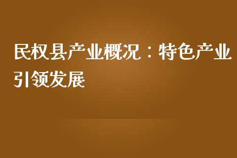 民权县产业概况：特色产业引领发展_https://cj007.lansai.wang_期货开户_第1张