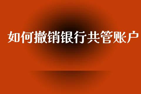 如何撤销银行共管账户_https://cj007.lansai.wang_债券资讯_第1张