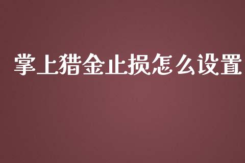 掌上猎金止损怎么设置_https://cj007.lansai.wang_全球市场_第1张
