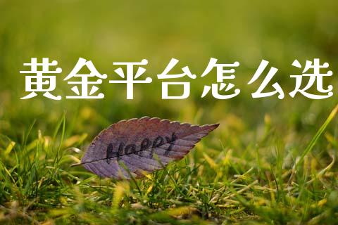黄金平台怎么选_https://cj007.lansai.wang_金融监管_第1张