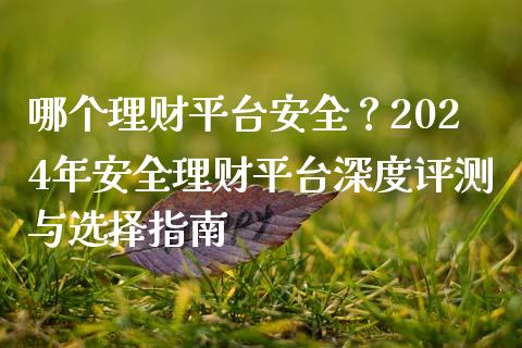 哪个理财平台安全？2024年安全理财平台深度评测与选择指南_https://cj007.lansai.wang_金融监管_第1张