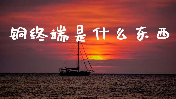 铜终端是什么东西_https://cj007.lansai.wang_外汇交易_第1张