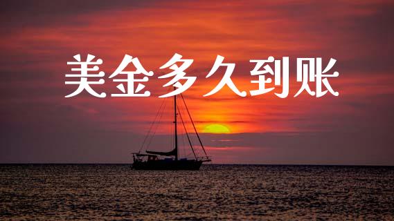 美金多久到账_https://cj007.lansai.wang_金融监管_第1张