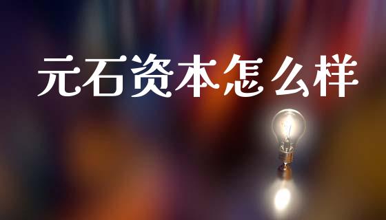 元石资本怎么样_https://cj007.lansai.wang_外汇交易_第1张
