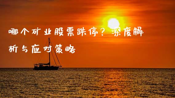 哪个矿业股票跌停？深度解析与应对策略_https://cj007.lansai.wang_债券资讯_第1张