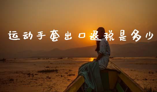 运动手套出口退税是多少_https://cj007.lansai.wang_全球市场_第1张