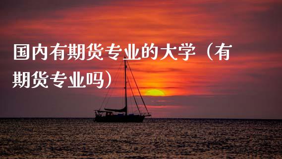 国内有期货专业的大学（有期货专业吗）_https://cj007.lansai.wang_金融监管_第1张